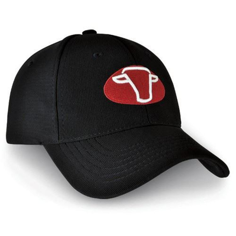 Picture of Denver Cap