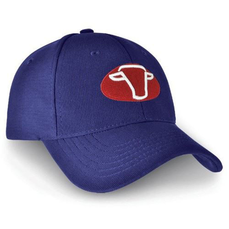 Picture of Denver Cap