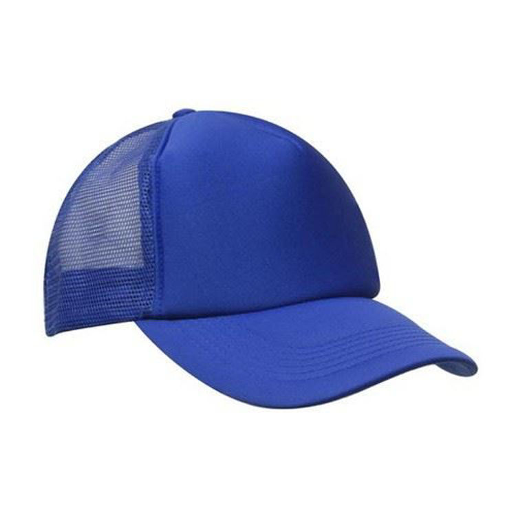 Picture of Truckers Mesh Cap