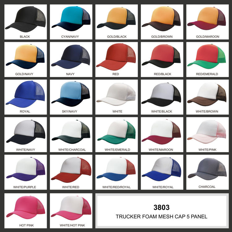 Picture of Truckers Mesh Cap