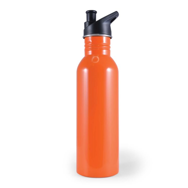 Picture of Hike Drink Bottle 