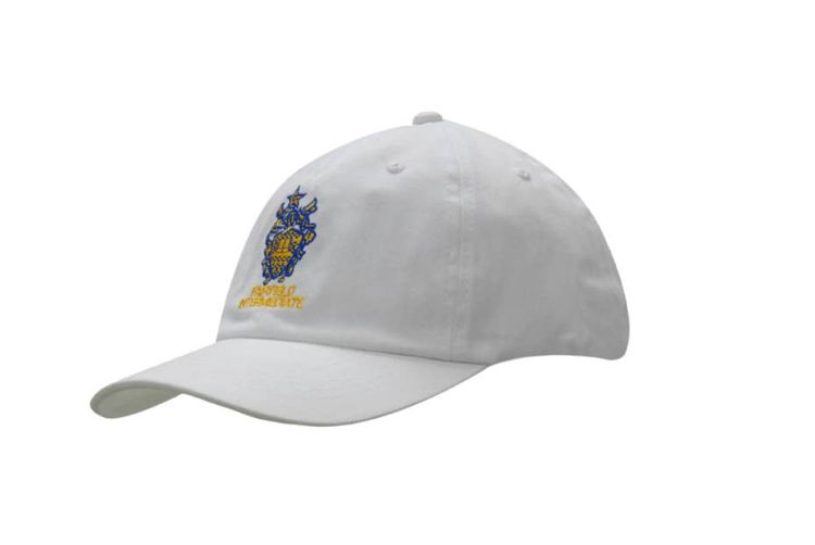 Picture of Brushed Heavy Cotton Cap
