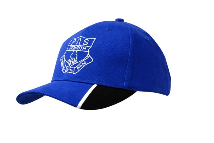 Picture of Brushed Heavy Cotton Cap with Peak Inserts & Embroidery