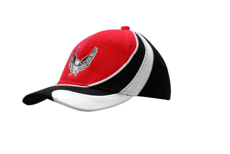 Picture of Brushed Heavy Cotton Cap with Inserts & Embroidery on Crown & Peak