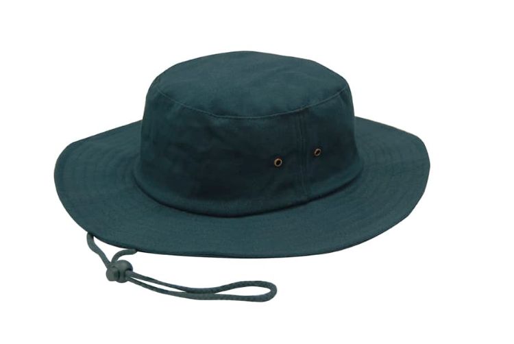 Picture of Brushed Heavy Sports Twill Hat
