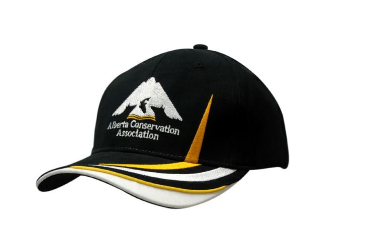 Picture of Brushed Heavy Cotton Cap with Indented Peak & Crown/Peak Embroidery