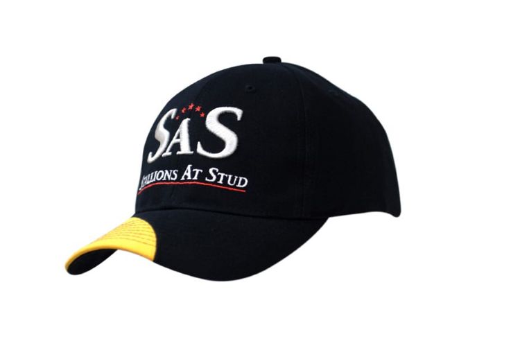 Picture of Brushed Heavy Cotton Cap with Insert on Peak