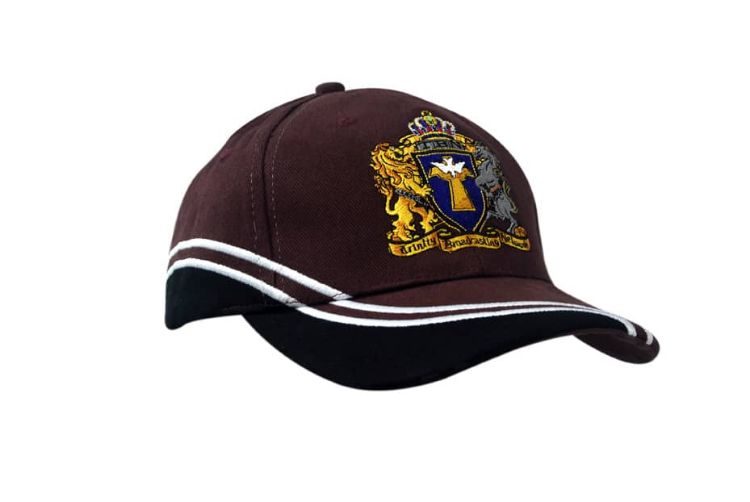 Picture of Brushed Heavy Cotton Cap with Inserts/Embroidery on Crown & Peak