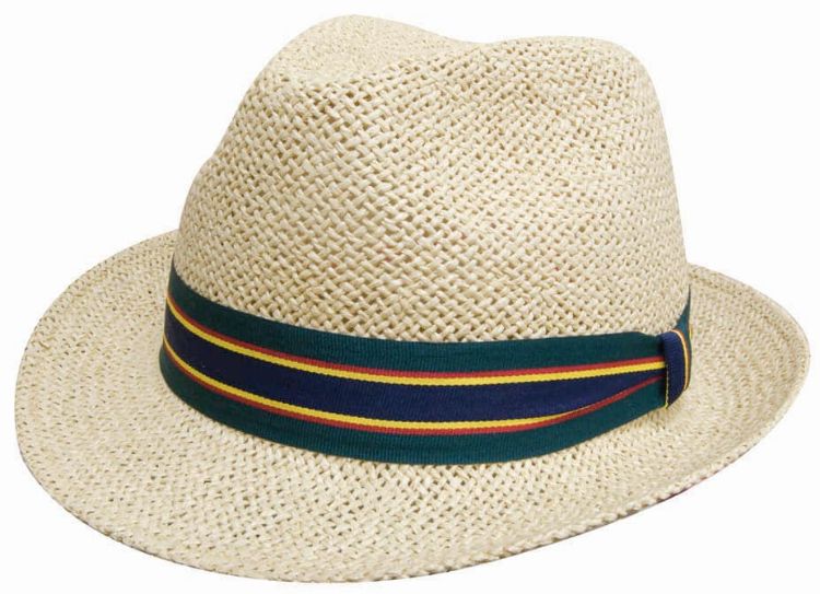 Picture of Fedora Style String Straw Hat